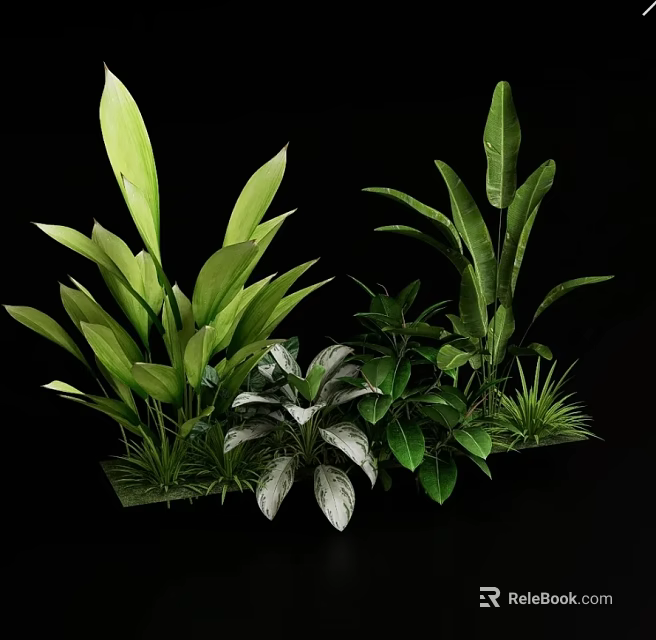 Diverse Green Plants With Various Leaf Shapes And Lush Foliage 3d model 