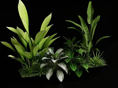 Diverse Green Plants With Various Leaf Shapes And Lush Foliage 3d model
