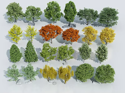 Diverse Tree Varieties with Colorful Green Yellow and Orange Foliage in Various Shapes 3d model