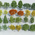 Diverse Tree Varieties with Colorful Green Yellow and Orange Foliage in Various Shapes