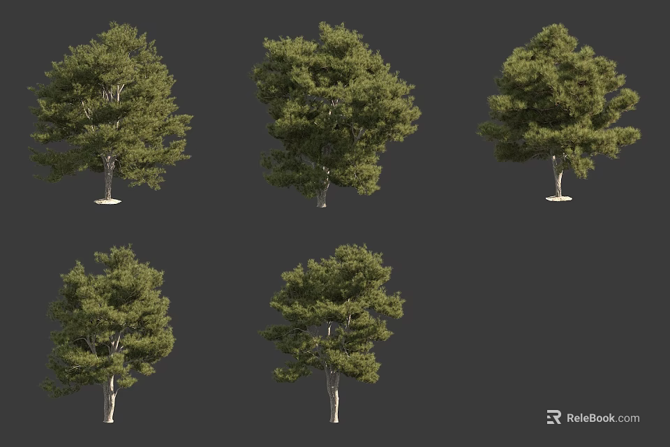 Six Arbor Trees With Varied Green Foliage And Different Canopy Shapes 3d model 