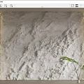 Textured White Background Wall With Wooden Side Frames And Green Plant