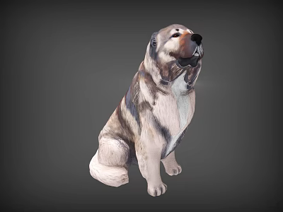 Realistic Sitting Dog 3D Model With Brown White Fur And Gray Background 3d model