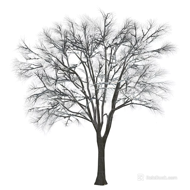 Tall Arbor With Bare Branches And Slender Trunk Isolated On White 3d model 
