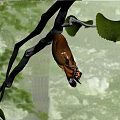 Monarch Butterfly Flying Among Green Leaves And Tree Branches With Vibrant Orange Wings