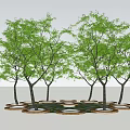 Round Wooden Flower Pots With Trees And Green Circular Ground Layout Design