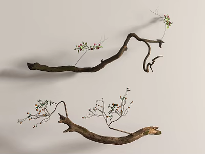 Small Succulent Plants Growing On Decorative Curved Branches With Light Colored Wall Background 3d model