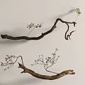 Small Succulent Plants Growing On Decorative Curved Branches With Light Colored Wall Background