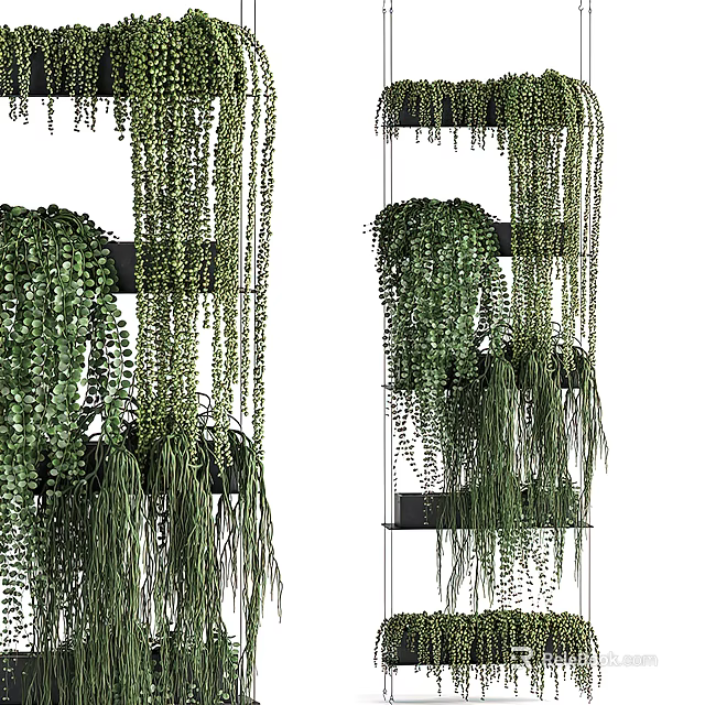 Indoor Hanging Basket Plants With Trailing Green Leaves And Decorative Greenery Design 3d model 