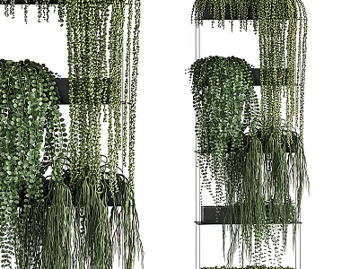 Indoor Hanging Basket Plants With Trailing Green Leaves And Decorative Greenery Design 3d model