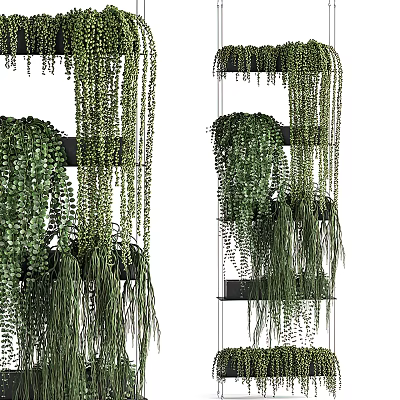 Indoor Hanging Basket Plants With Trailing Green Leaves And Decorative Greenery Design 3d model
