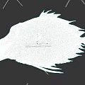 Red Deep Sea Fish With Prominent Eyes And Unique Flat Body Shape