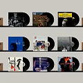 Multiple Vinyl Record Wall Decor Displayed on Wooden Shelves for Home Interior