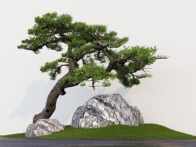 Pine Mountain Pine Landscape Tree Stone 3d model