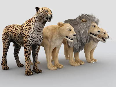 Modern Lion Lion Tiger Cheetah Muppet 3d model Modern Lion Lion Tiger Cheetah Muppet 3d model