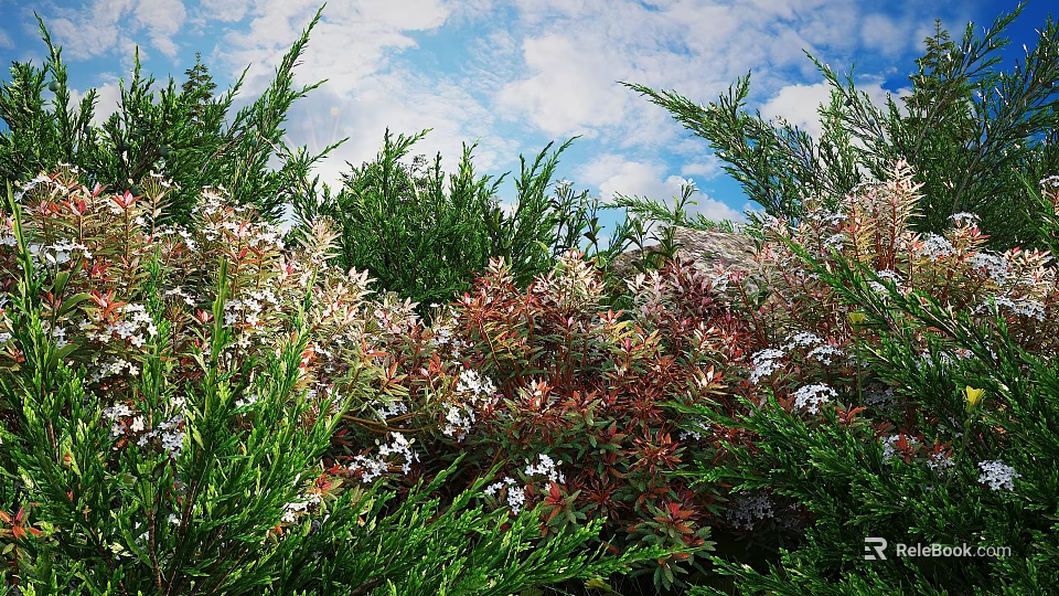 Lush Shrubs With Vibrant Red And White Flowers Against Blue Sky With Clouds 3d model 