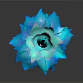 Blue And Teal Layered Flower Plant With Unopened Buds On Black Background
