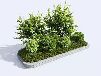 Shrubs in Rectangular Concrete Planter with Various Heights Shapes Round Trimmed and Tall Leafy Bushes 3d model