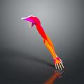 Detailed Colored 3D Illustration of Human Arm Muscles Anatomical Structure