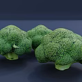Three Fresh Vibrant Green Broccoli Heads Arranged on Dark Background