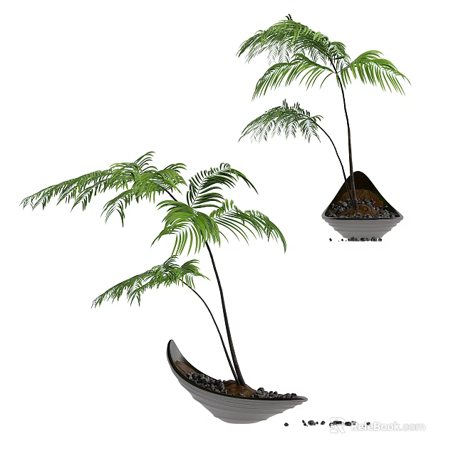 Elegant Bonsai Potted Plant Featuring Lush Green Tropical Palm Like Leaves And Unique Planter 3d model 
