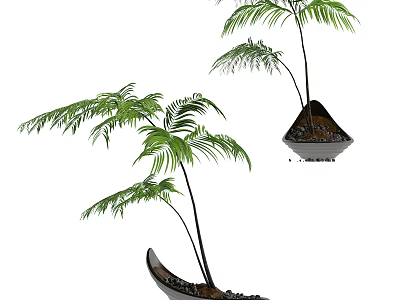 Elegant Bonsai Potted Plant Featuring Lush Green Tropical Palm Like Leaves And Unique Planter 3d model