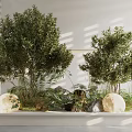 Indoor Landscape Design With Green Trees Rocks And Round Light Fixtures