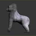 Realistic 3D Gorilla Model in Natural Standing Pose on Dark Background 3d model