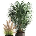Indoor Decorative Bonsai Potted Plants With Tropical Palm And Ornamental Grass In Ceramic Pots