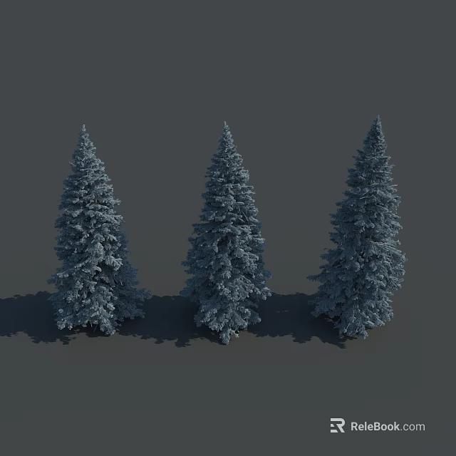 Three Tall Coniferous Pine Trees With Upright Needle Like Foliage And Shadows 3d model 