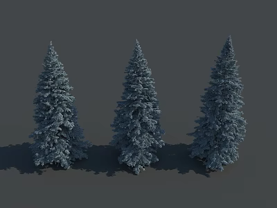 Three Tall Coniferous Pine Trees With Upright Needle Like Foliage And Shadows 3d model