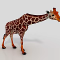3D Giraffe Model With Brown White Spots Standing In Realistic Pose