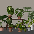 Indoor Potted Plants with Monstera Pothos Palm Leaves in Terracotta White Planters on Wooden Stand