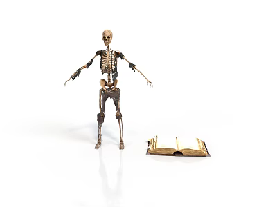Human Organ System Skeleton Model With Open Educational Anatomy Book On White Background 3d model