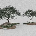 Modern Landscape Tree Pits Design With Trees Wooden Edges Grass And Stones