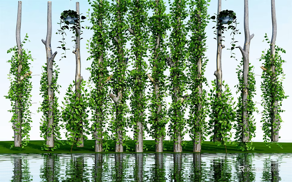 Lush Green Vines Climbing Tall Trees With Fresh Leaves And Water Reflection 3d model 