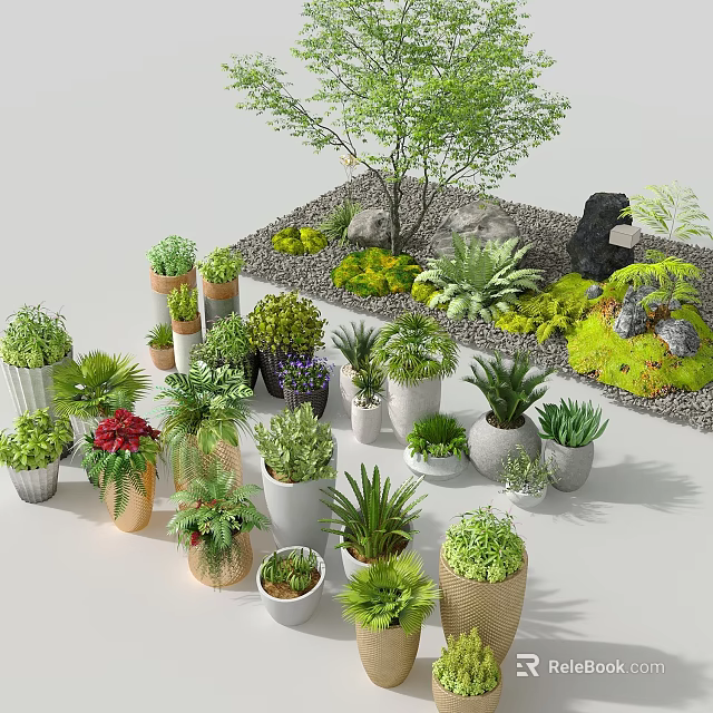 Various Hanging Basket Plants with Different Foliage Types and Decorative Pots 3d model