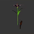 Monarch Butterfly Perched On Pink Lily With Green Stem And Leaves Against Dark Background