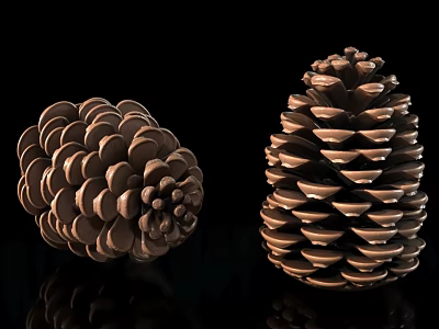 Cozy Tree House Design With Natural Pine Cones And Wooden Details 3d model