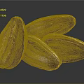 Dark Purple Sunflower Seeds With White Edges Arranged On Dark Background