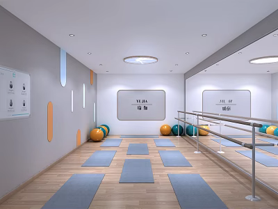 Modern Yoga Fitness Training Space With Spacious Room Exercise Balls Yoga Mats And Barre 3d model