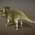 Highly Detailed Triceratops Dinosaur 3D Model With Horned Head And Frill
