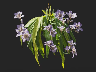 Purple Flowers With White Edges And Green Leaves On Black Background 3d model