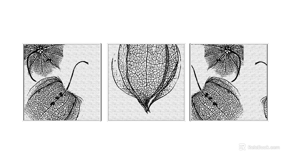 Black and White Botanical Leaf Vein Wall Art Set of Three for Home Decor 3d model 