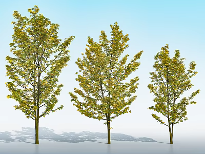 Three Deciduous Trees With Green And Yellow Leaves Under Blue Sky And Ground Shadows 3d model