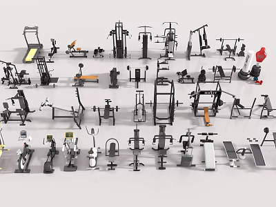 Assorted Sports Equipment Collection Featuring Treadmills Dumbbells Weight Benches and Fitness Gear 3d model