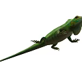 lizard cold-blooded reptile chameleon 3d model