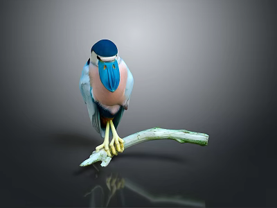 Vibrant Bird With Blue Head Light Blue Body Pink Chest Yellow Feet On Green Branch 3d model