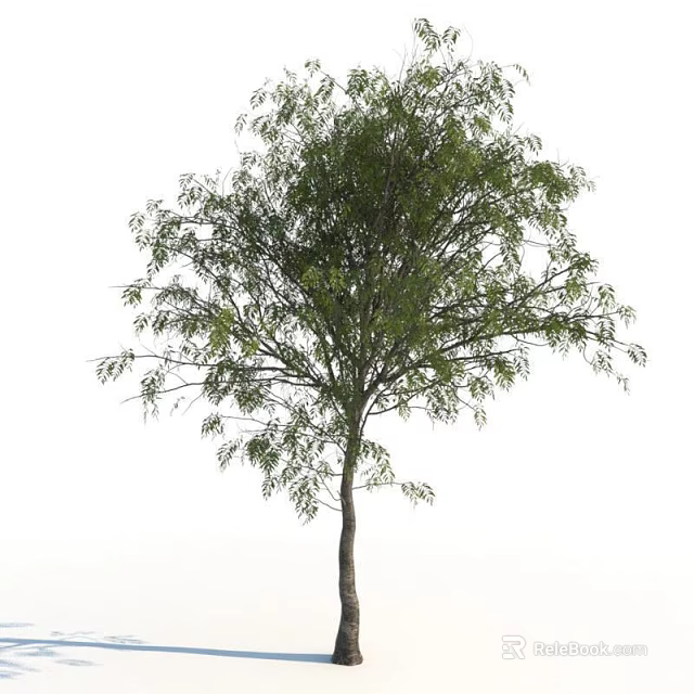 Natural Arbor With Thick Trunk Lush Branches And Vibrant Green Leaves 3d model 