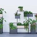 Modern Flower Planters In Wall Mounted And Floor Standing Designs With Green Plants And Flowers
